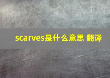 scarves是什么意思 翻译